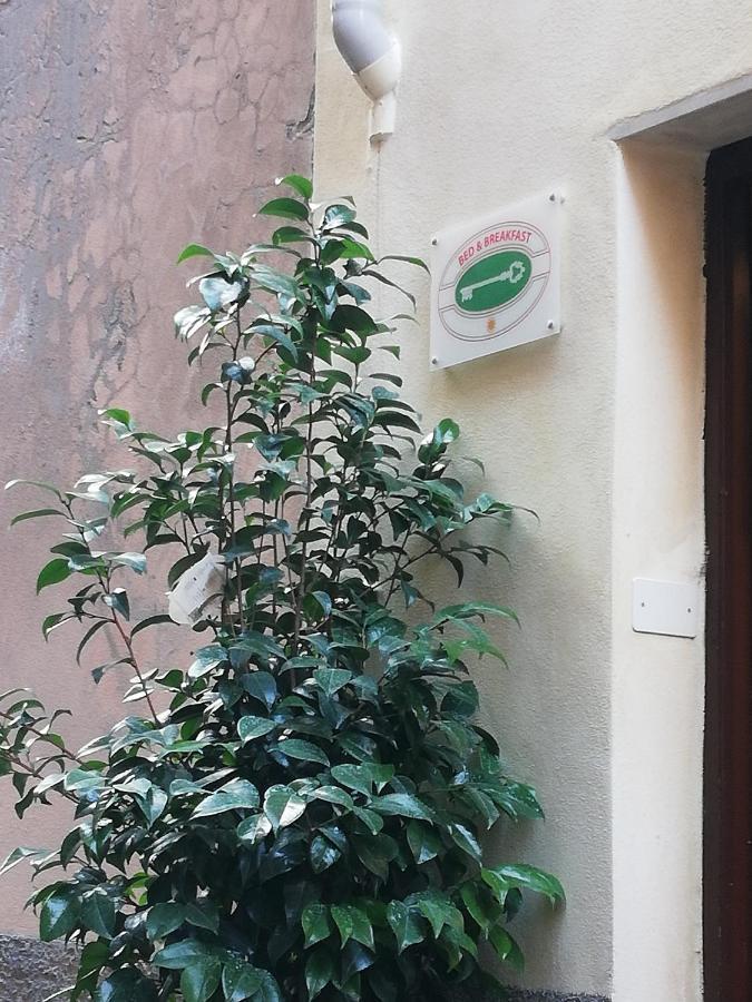 B&B Sotto Le Torri Albenga Eksteriør bilde